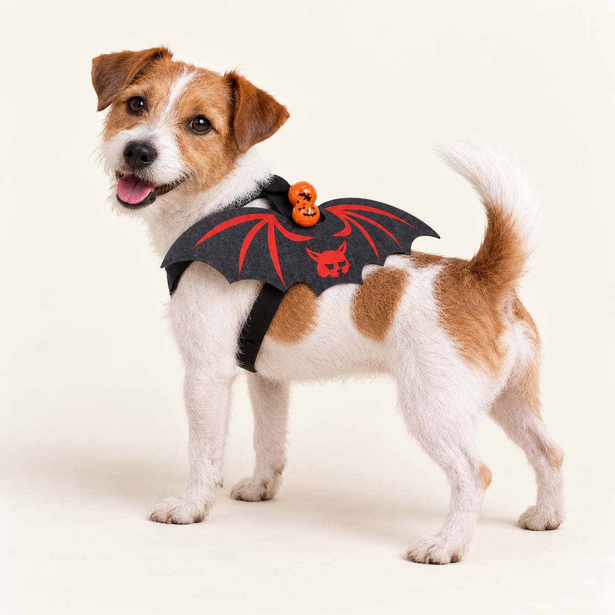 Halloween Bat Wings with Bells – Pet Costume