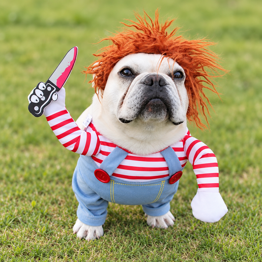 Spooky Sidekick Halloween Dog Costume