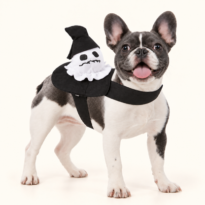 Halloween Little Passenger Dog Costume