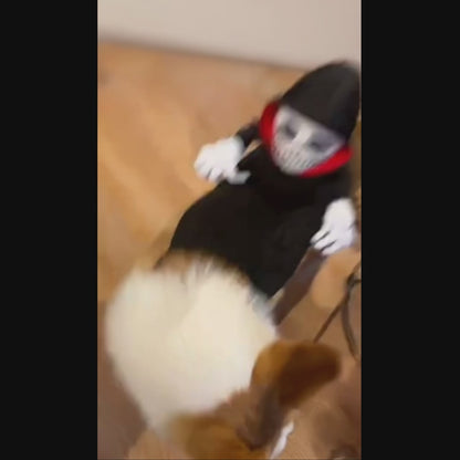 Spooky Rider Halloween Pet Costume